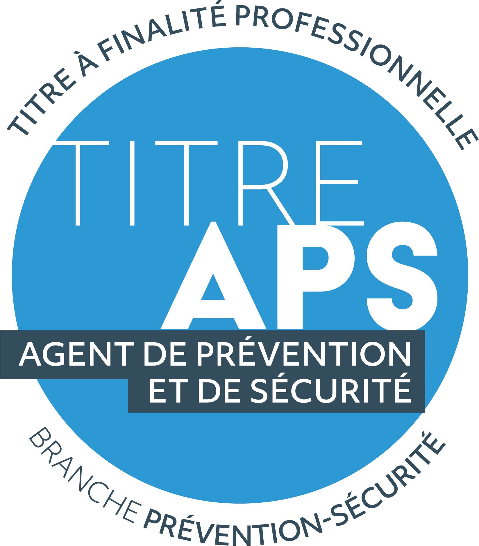 logo titre APS